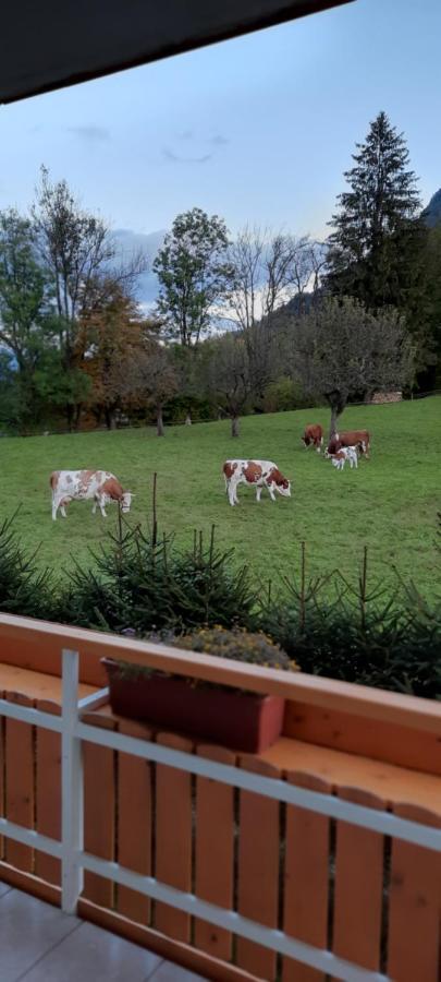Apartma Rozle Mojstrana Dış mekan fotoğraf