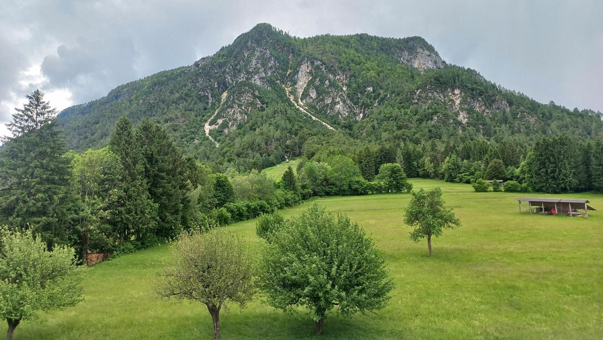 Apartma Rozle Mojstrana Oda fotoğraf